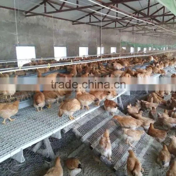 Plastic Flooring for Chicken/duck/rubbit (Professional Manufacturer) photo-5