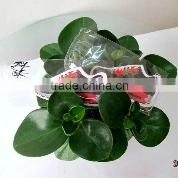 Hot Selling Shoes Shaped Perfumed Toilet Air Freshener Can be Customized photo-4