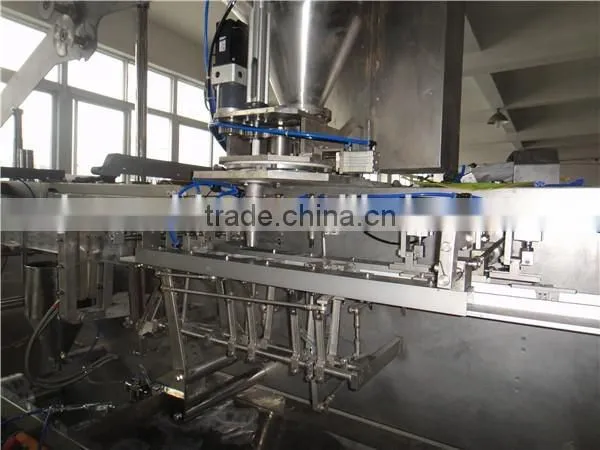 CE Approved Vacuum Packing Machine for Plastic Bags photo-2
