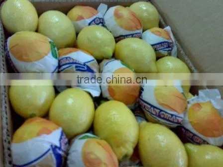 Fresh Adalia Lemon photo-2