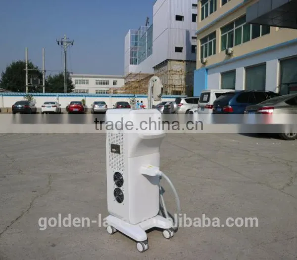 Best Laser Hair Removal Permanent Hair Removal 2016 Hot Sale photo-3