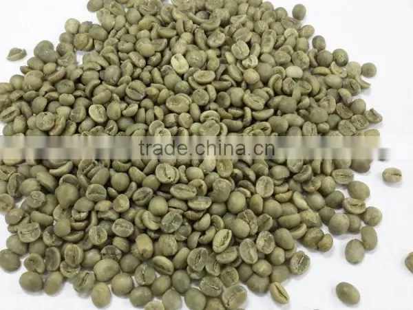 ARABICA COFFEE BEANS SCR 16 (skype: Davis.thong)
