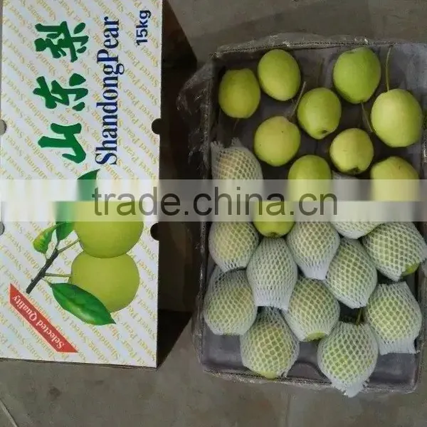 Shandong Pear photo-2