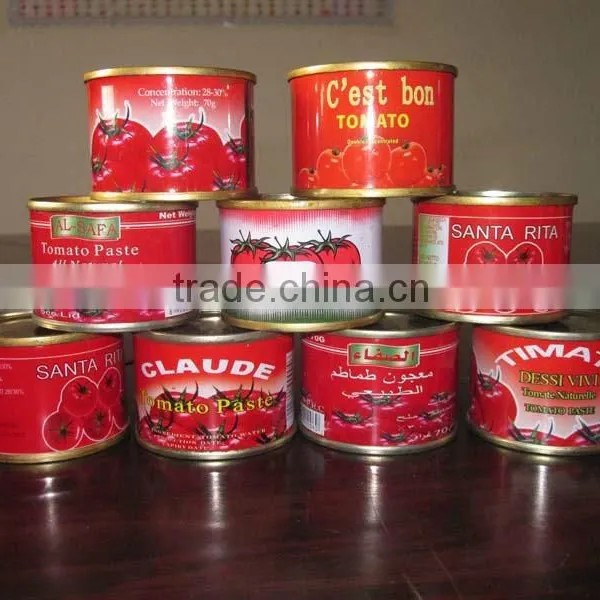 Tomato Paste With Good Quality Fresh Tomato Paste photo-2