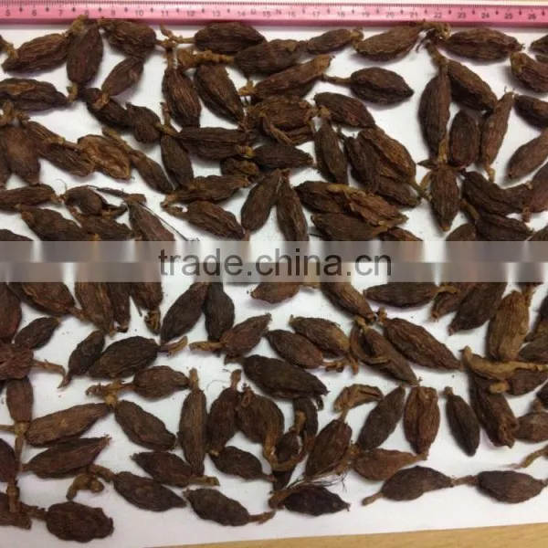 Black Cardamom photo-5