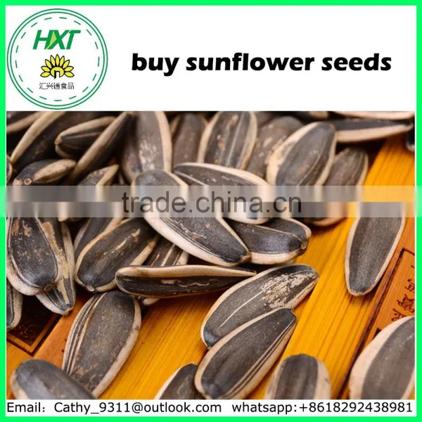 Nice Quality Snacks Buy Sunflower Seeds for Human Cunsumption photo-2
