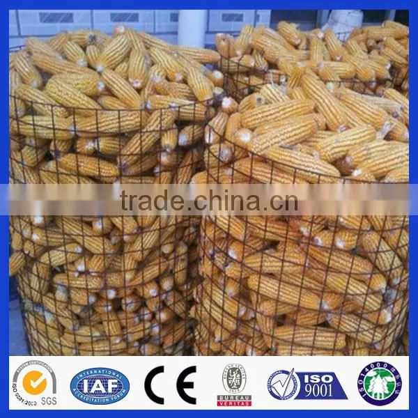 Express China Supplier Hot Sale Hot Dip Welded Wire Mesh Fence photo-5