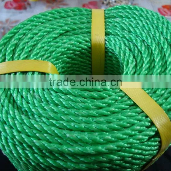 Hot Sales Twisted pe Rope photo-4