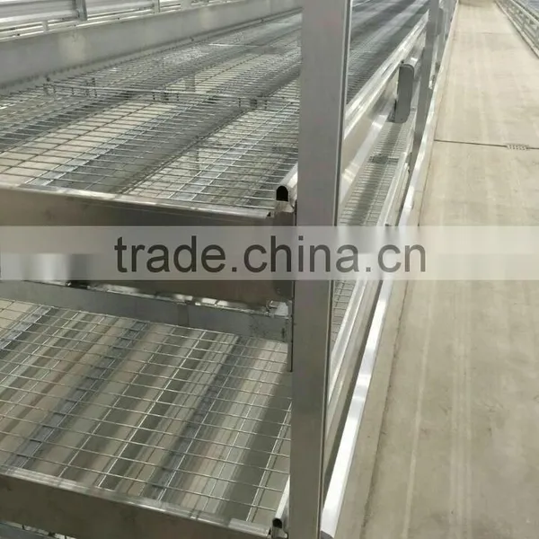 6061T5 Aluminum Extrusion Profile for Planting Frame photo-5