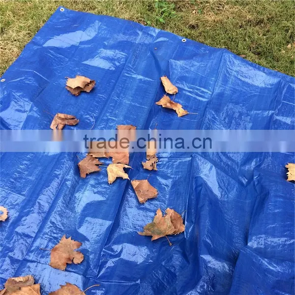 Blue/silver Mesh Tarp photo-3
