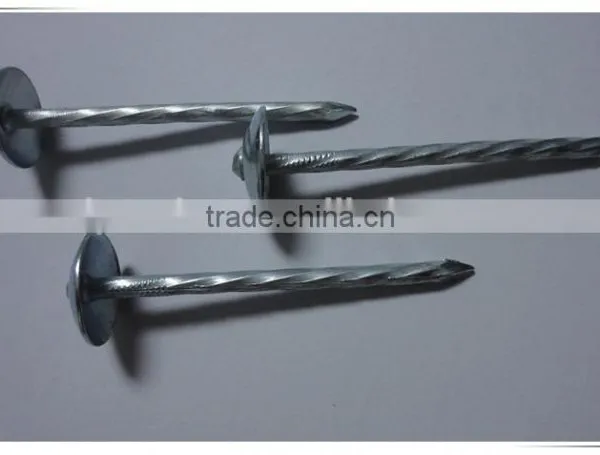1"*11G Galvanized Umbrella Head Plain and Ring Shank Roofing Nail (factory) photo-3