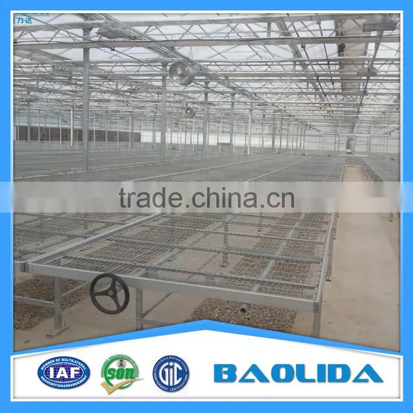 Galvanized Steel Pipes Greenhouse For Agriculture Farming photo-6