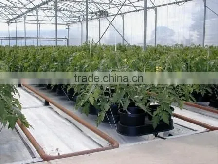 Plant Grow Light, Double Chips Super Bright Full Spectrum Hydroponic Plant Grow Lights for Indoor photo-5