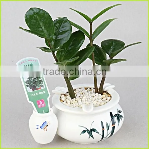 Flower Pot Stand Pictures photo-4