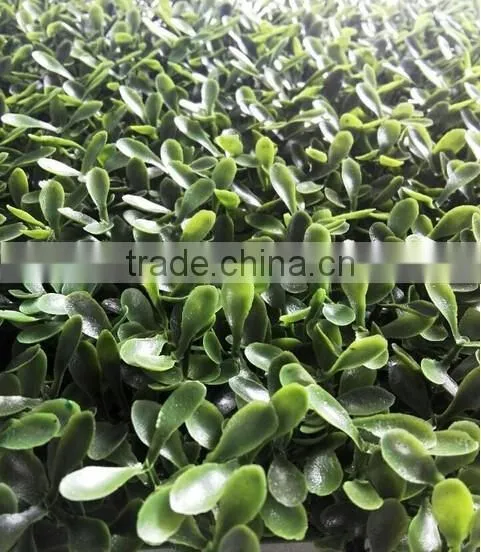 Artificial Boxwood Grass Mat/Hedge Outdoor UV Protection Artificial Boxwood Hedge Vertical Garden photo-5