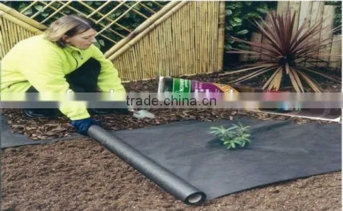 pp Woven Plastic Mulch Weed Mat photo-2