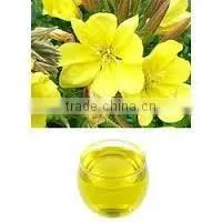Evening Prime Rose Oil photo-4