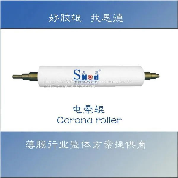 China Rubber Roller Manufacturer Shanghai Factory photo-2