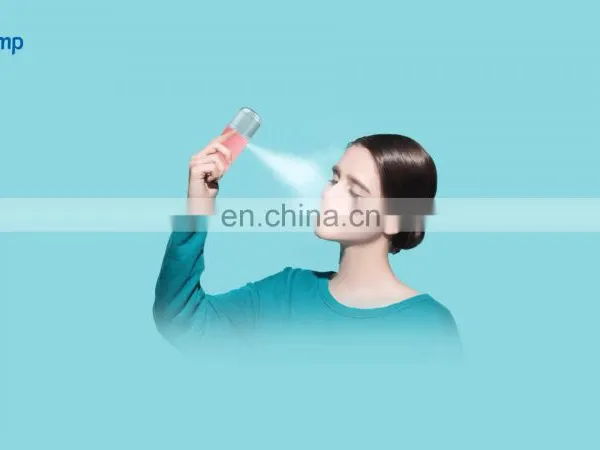 Electric 30ml Mini Handy Mist Steamer Nano Facial Sprayer Usb Nebulizer
