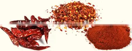 Vietnam High Quality Hot Red Dry Chili Peppers photo-2