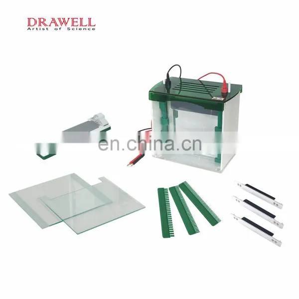 Vertical Mini Protean Gel Electrophoresis Apparatus Cell photo-2