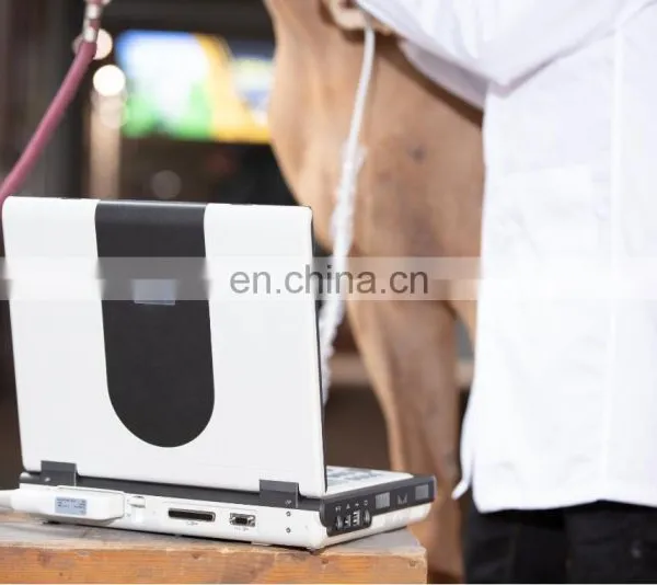 Veterinary Ultrasound Scanner Portable Color 3d Ultrasound Machine Electric Ce Mobile Trolley or Carrying Bag 24 15 LCD Monitor photo-4