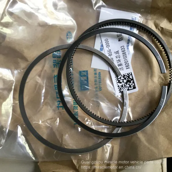 Faw Piston Ring 4DW91-29D photo-2