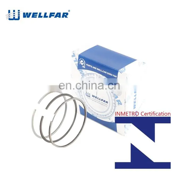 Wellfar French Car 206 Auto Parts 75mm Piston Rings For Peugeot 206 Engine photo-2