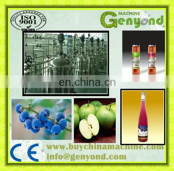 China Apple Vinegar Making Machine photo-2