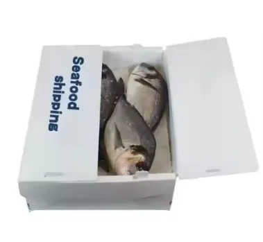 Insulated PP Hollow Sheet Packaging – Durable Solutions for Fresh Seafood photo-2