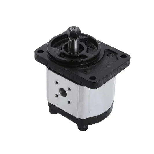 CBTs Hydraulic Pump CBTs-F304 F306 F308 F310 F312 F314 F316 F320 F325 Supply From China New Hydraulic Power Unit Gear Pump photo-5