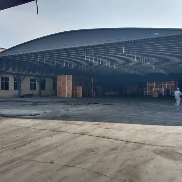 Electric Retractable Canopy, Steel Column Overhead Telescopic Awning, Logistics Warehouse photo-4