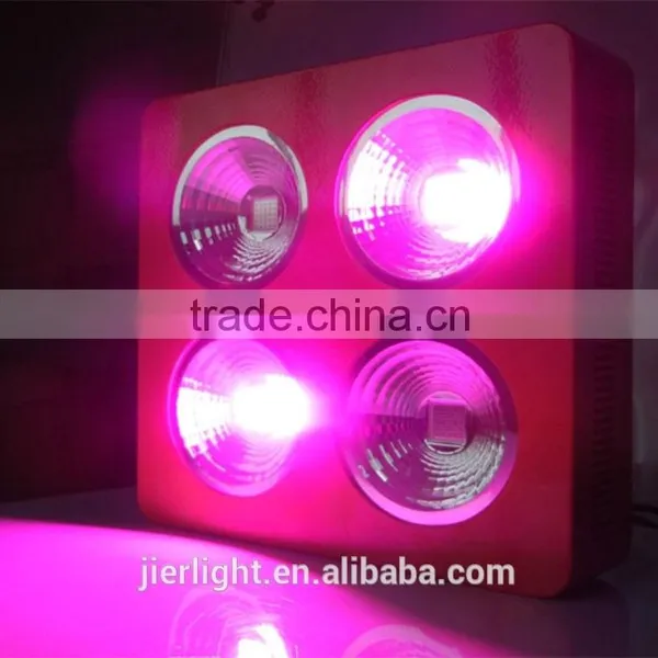 800W LED Grow Light for Greenhouse LED Grow Light Full Spectrum 800W Quality Choice photo-2