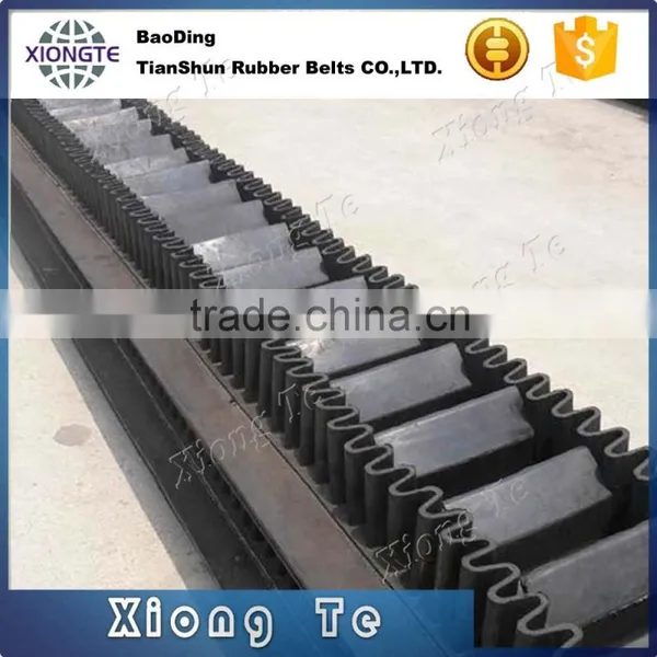 Conveyor Belt Used in Mining Mini Conveyor Belts Nylon Conveyor Belt photo-3