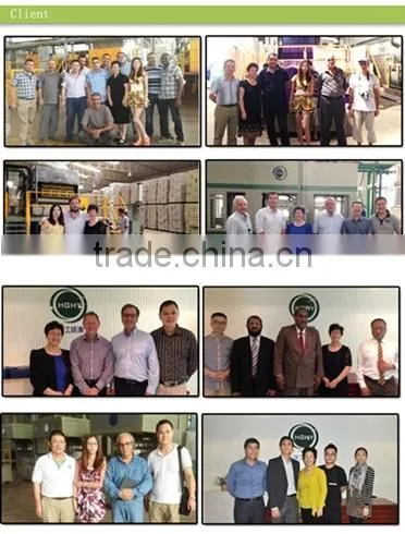 Biodegradable Paper Dish Pulp Molding Machine Price Interesting by HGHY photo-3