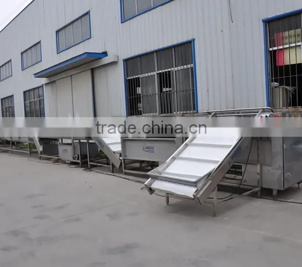 fruit and vegetable processing line