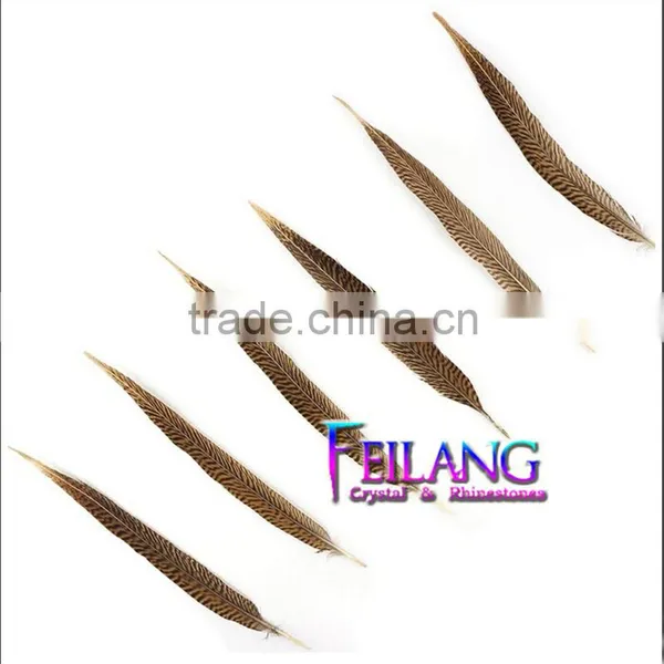 Crafts Pheasant Feathers Tail Gold photo-2