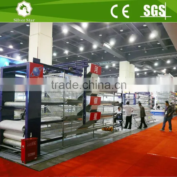H Type Battery Automatic Egg Layer Chicken Cages/coops With PP Belt Manure Removal System
