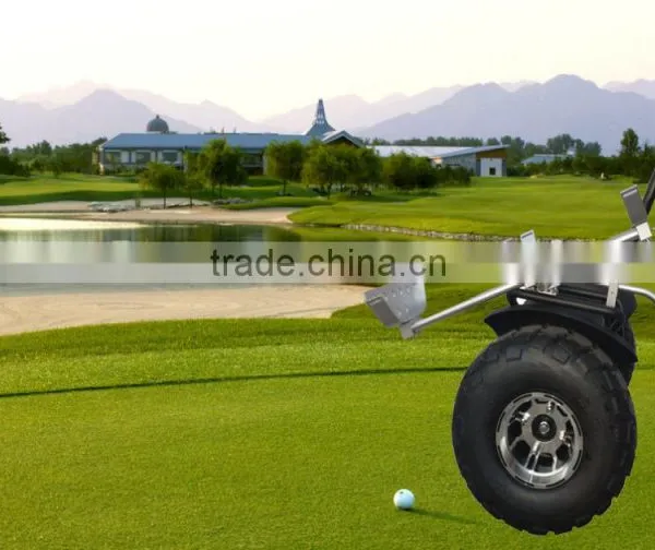 1000W Golf Cheapest Hot Selling Chariot Balance Scooter photo-3