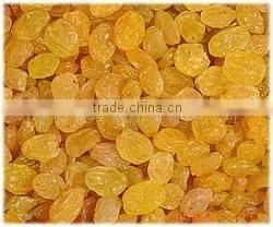 GOLDEN RAISINS