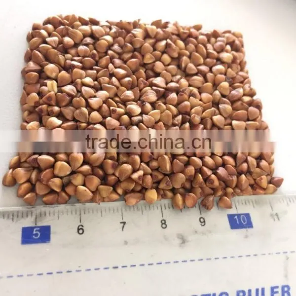 Roasted Buckwheat Kernel photo-2