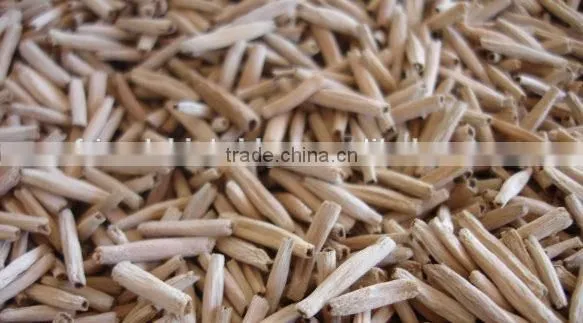 Adenium Obesum Seeds photo-4