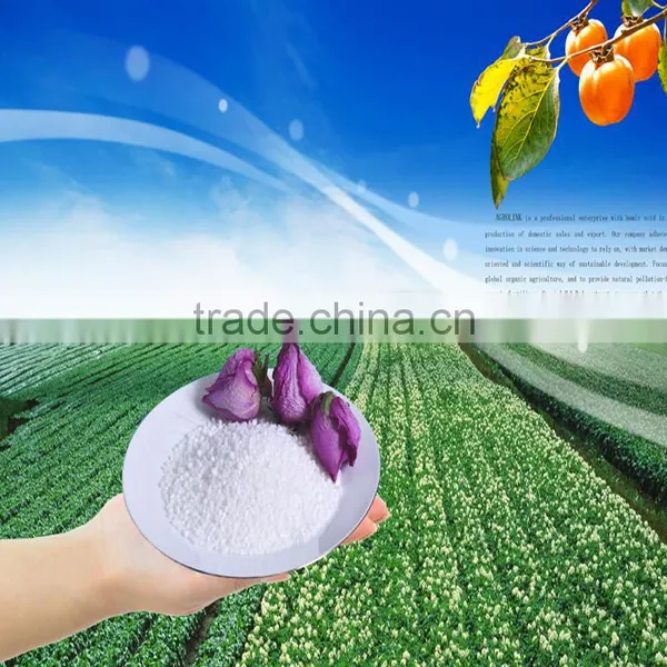 Calcium Ammonium Nitrate Granular photo-3