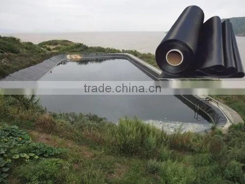 HDPE Geomembrane