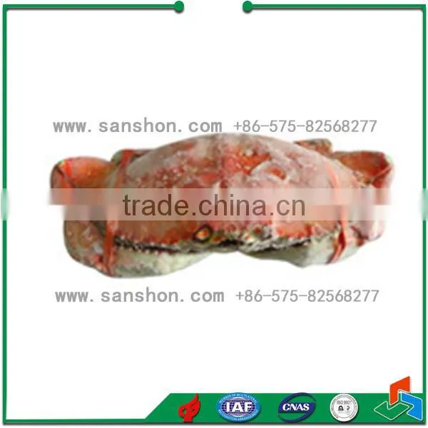 China IQF Spiral Freezer photo-6