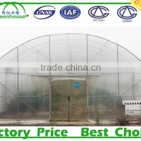 Hot Sale Agricultural Tomato Greenhouse Farming photo-4