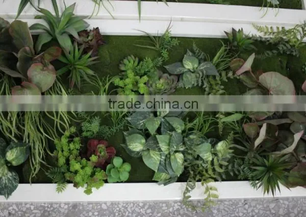 High Quality Artificial Wall Plant Artificial Succulent Plant Wall for Home Decor photo-5