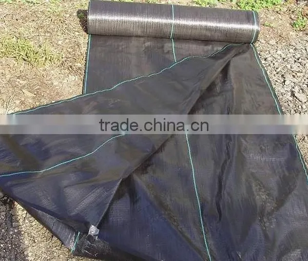 Non Woven Fabric Weed Mat photo-3