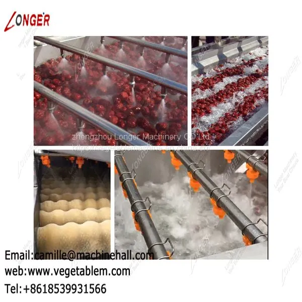 Dates Cleaning and Drying Machine|Fruit and Vegetable Cleaner Line|Automatic Dates Washing Line photo-4