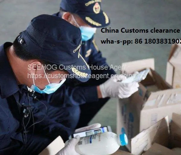 indirect customs representation china Seehog customs clearance broker